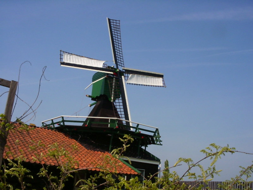 Volle Glorie